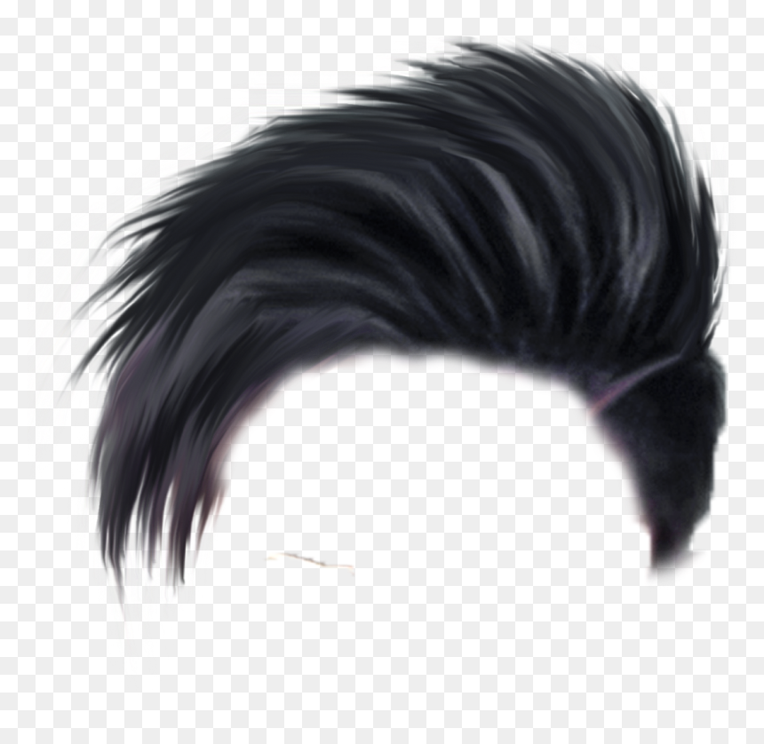 Detail Hair Png Files Nomer 14