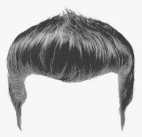 Detail Hair Png Files Nomer 16