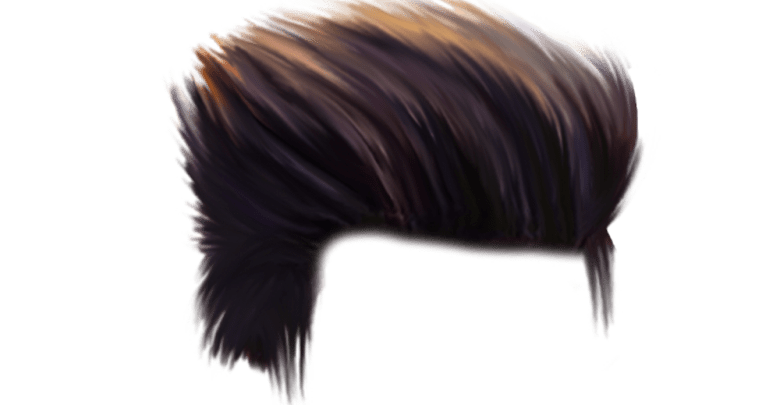 Detail Hair Png Files Nomer 18