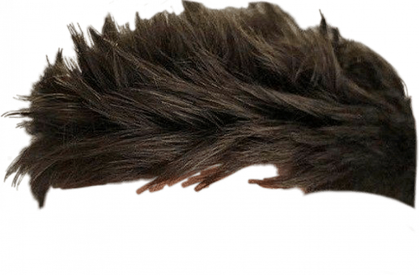 Detail Hair Png Files Nomer 30