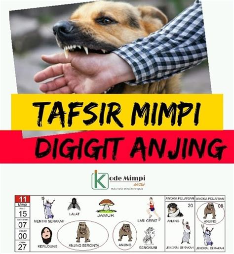 Detail Review Buku Mimpi Anak Papua Nomer 21