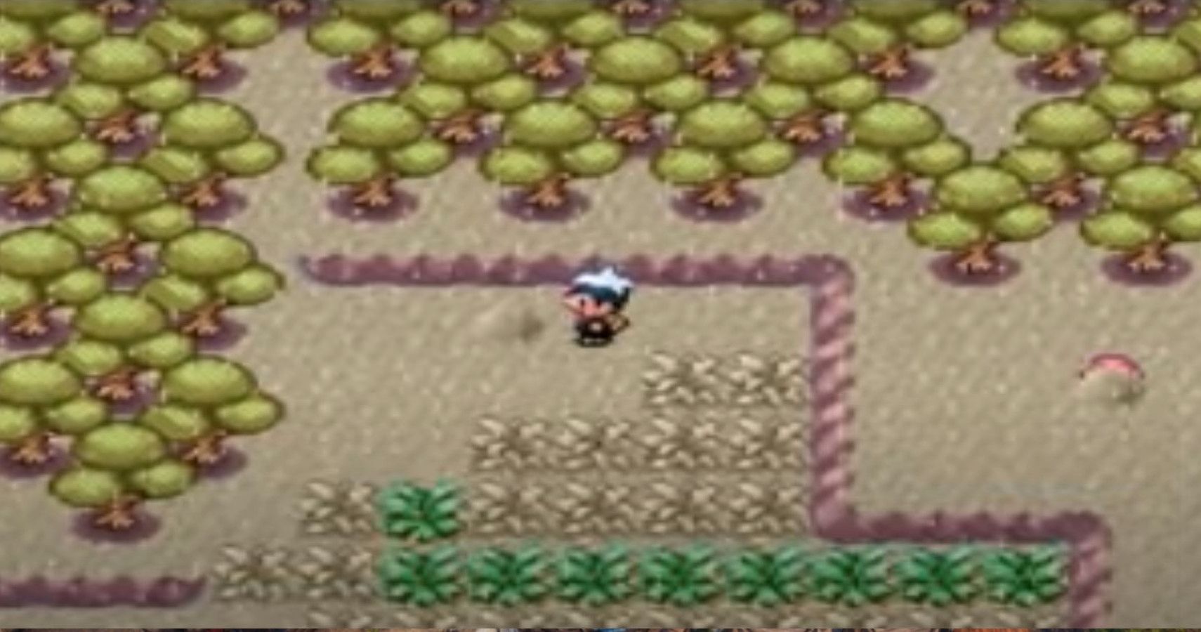 Detail Pokemon Ruby Route 113 Nomer 11