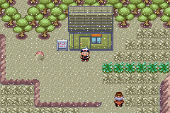 Detail Pokemon Ruby Route 113 Nomer 6