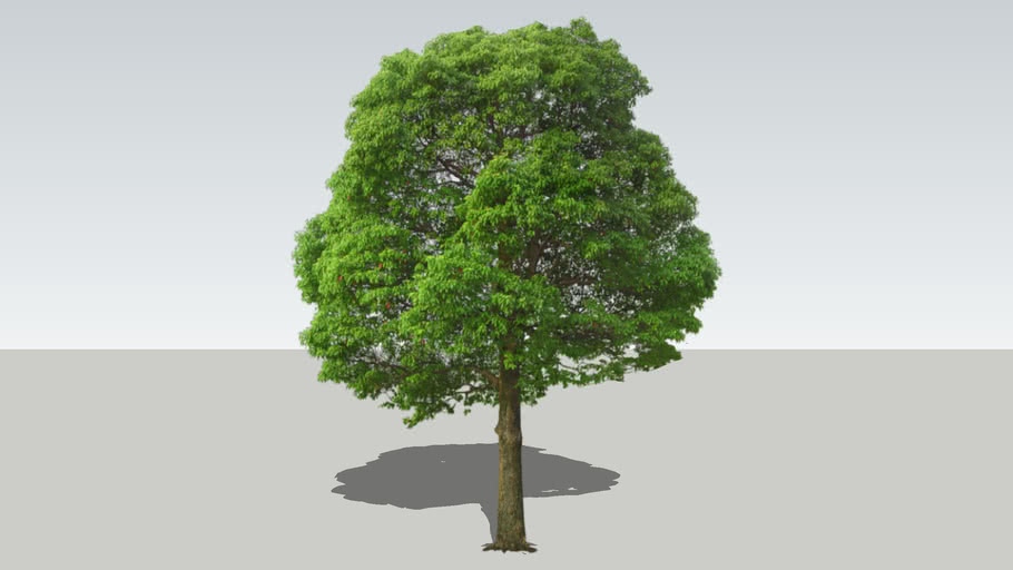 Detail Tree 2d Png Nomer 39