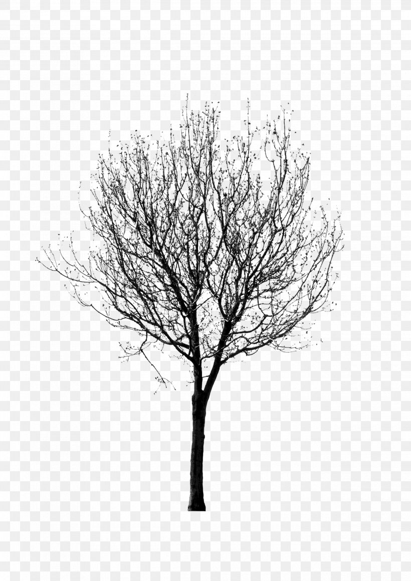 Detail Tree 2d Png Nomer 46