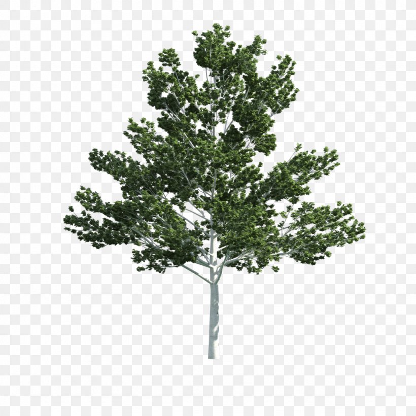 Detail Tree 2d Png Nomer 54