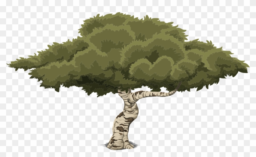 Detail Tree 2d Png Nomer 9