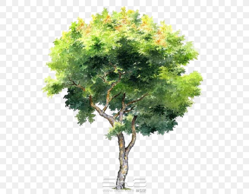 Detail Tree 2d Png Nomer 10