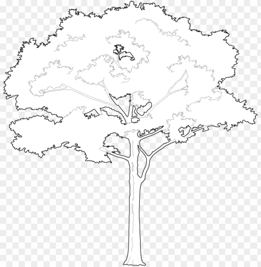 Detail Tree 2d Png Nomer 14