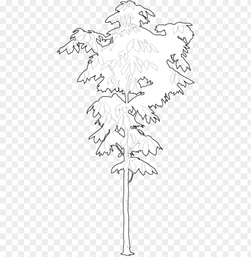 Detail Tree 2d Png Nomer 22