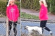 cctv released last moments Anita Rose left for dead Brantham