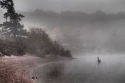 loch ness monster sighting news webcam scotland nessie gary campbell