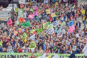 extinction rebellion windsor castle royal family 