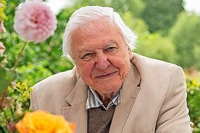 david attenborough tribute natural history pioneers