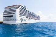 cruise ship passengers booking mistake