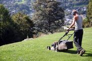 gardeners warned not mow lawn friday