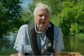 gardeners-mow-lawn-June-David-Attenborough