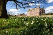 national trust properties bridgerton poldark