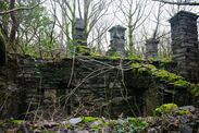 forgotten-welsh-village-reclaimed-nature-like-welsh-angkor-wat