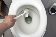 toilet limescale cleaning harpic