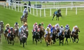 Horse dies York Racecourse Hispanic Dante Festival