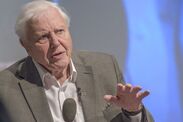 david attenborough warning julia bradbury advice 