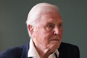 sir david attenborough portrait unveiled