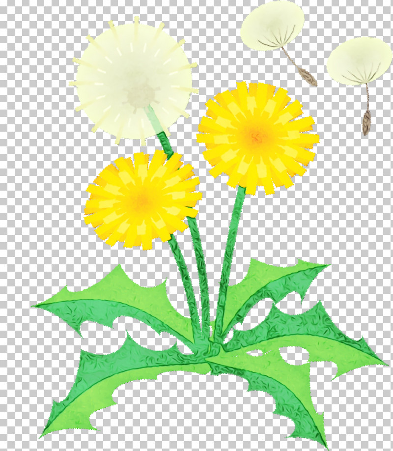 Floral Design PNG, Clipart, Chrysanthemum, Cut Flowers, Dahlia, Dandelion, Floral Design Free PNG Download