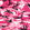 Fuchsia Camouflage Cotton Print