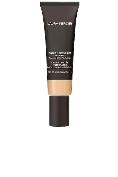 Laura Mercier Tinted Moisturizer Oil Free Natural Skin Perfector Spf 20 In 0n1 Petal