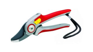 The best secateurs: Wolf-Garten RR5000 Professional Secateurs