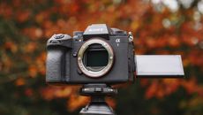 Sony A1 II mirrorless camera outdoors on a tripod with autumn leaves background