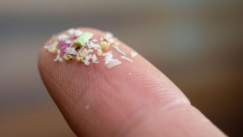 A close-up shot of microplastics resting on a human finger.