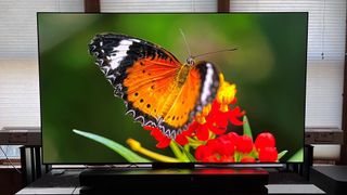 LG C3 OLED TV showing orange butterfly onscreen