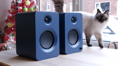 Kanto Ren speakers with a cat in the background