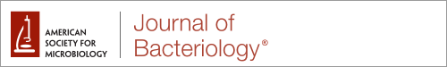 Journal of Bacteriology logo