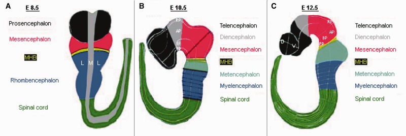 Figure 1.