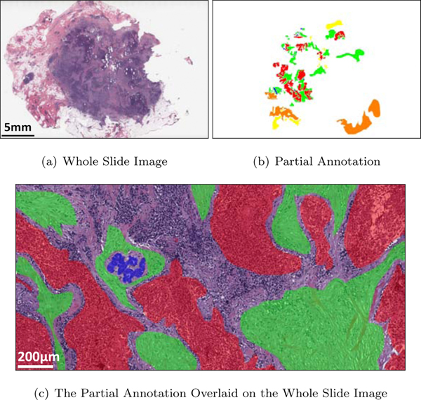 Figure 3: