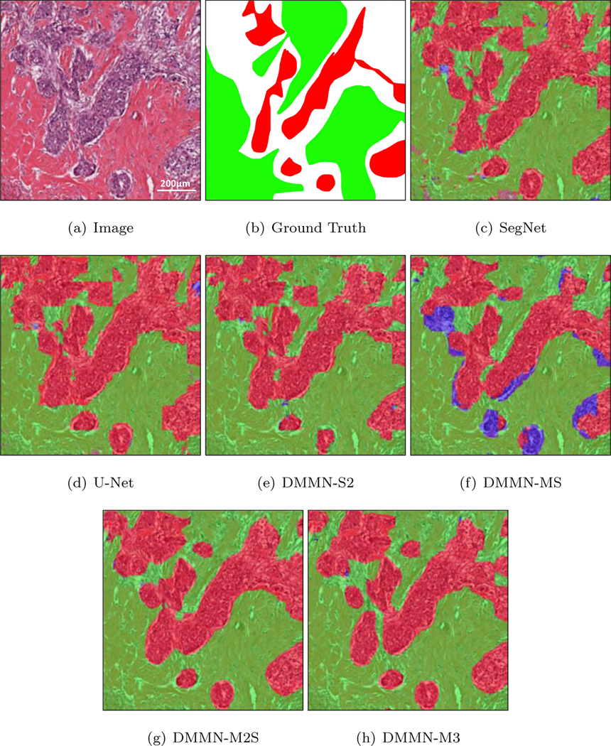 Figure 7: