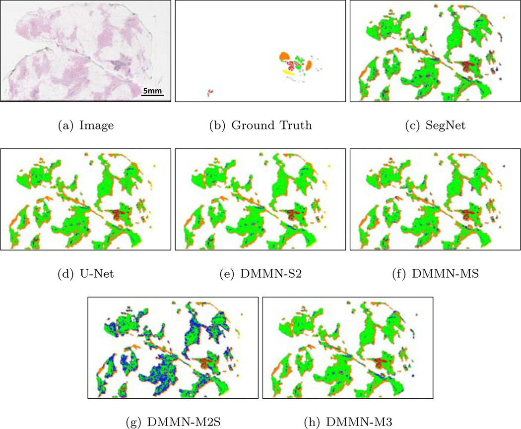 Figure 10: