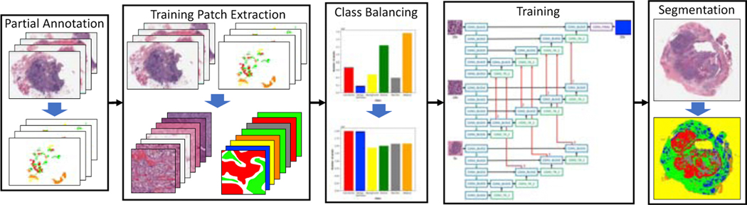 Figure 2: