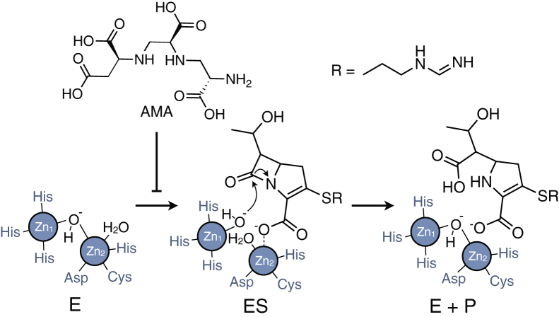 Figure 1