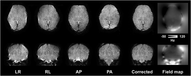 Fig. 3