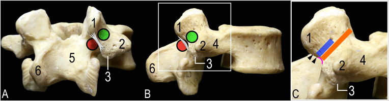 Fig. 5