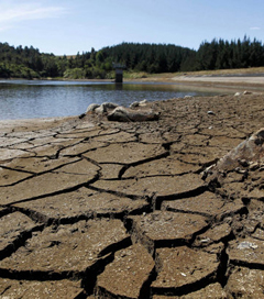 New Zealand suffers ‘most widespread’ drought in 30 years