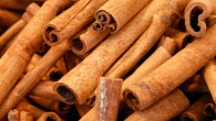 Jiang et al provide a long-sought explanation for the beneficial fat-fighting effects of cinnamon. Image credit: Hans Braxmeier.