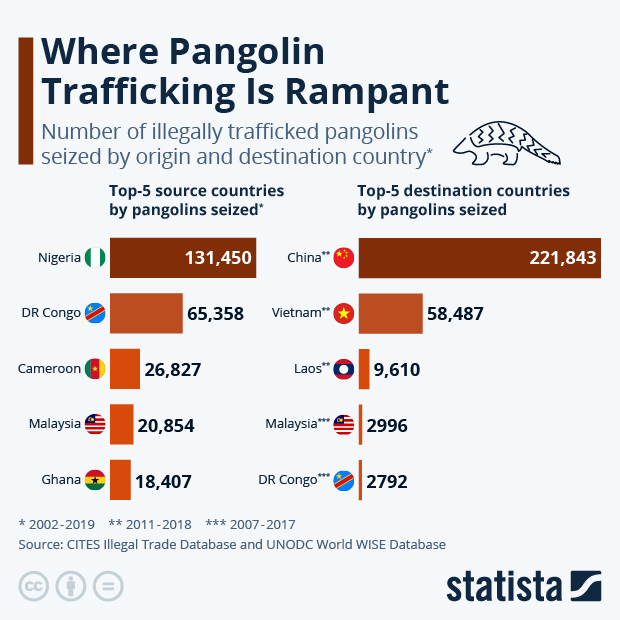 Where Pangolin Trafficking Is Rampant - Infographic