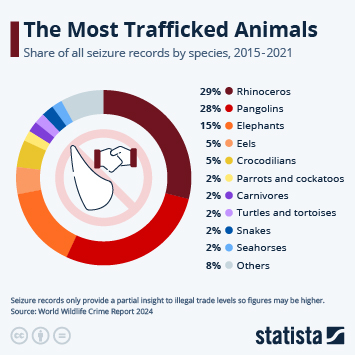 Infographic - The Most Trafficked Animals