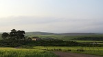 farm, wheat, country