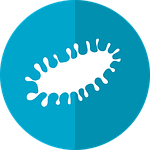 virus, etiology, infection